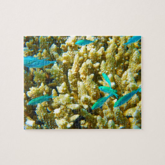 Korallenriffe aus Australien Puzzle (Horizontal)