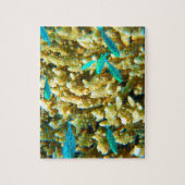 Korallenriffe aus Australien Puzzle (Vertikal)