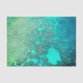 Korallenriffpapier Seidenpapier (Vorderseite)