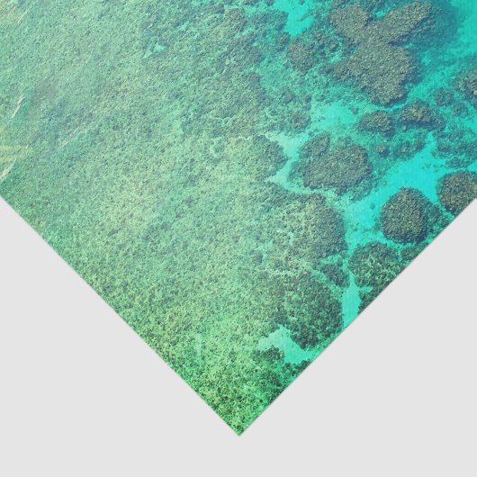 Korallenriffpapier Seidenpapier (Ausschnitt)