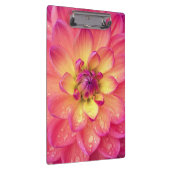 Korallenrosa Dahlia-Blume Klemmbrett (Rechts)