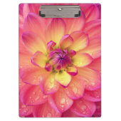 Korallenrosa Dahlia-Blume Klemmbrett (Vorderseite)