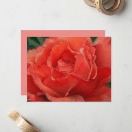 Korallenrosa Rosenblumen Kunst Notizkartenset Mitteilungskarte