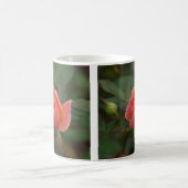 Korallenrose-Tasse Kaffeetasse (Mittel)