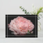 Korallenrote Einladung (Stehend Vorderseite)