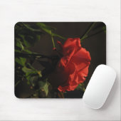 Korallenrote Rose Mousepad (Mit Mouse)