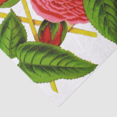 Korallenrote Rosen-Vintages Druck-Gewebe Seidenpapier (Detail)