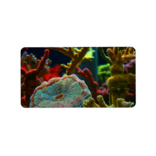korallenroter Aquariumbehälter des anenome Adressaufkleber