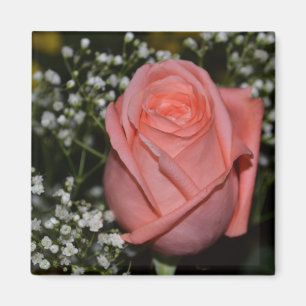 Korallenroter Magnet Rose-005