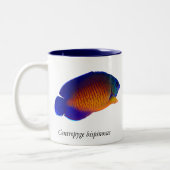 Korallenroter SchönheitAngelfish - Centropyge Zweifarbige Tasse (Links)