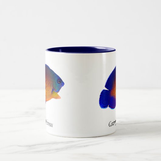 Korallenroter SchönheitAngelfish - Centropyge Zweifarbige Tasse (Mittel)