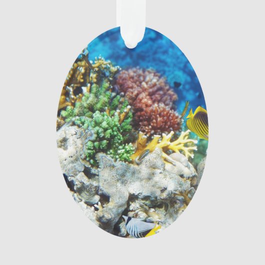 Korallenrotes Aquarium Ornament (Vorderseite)