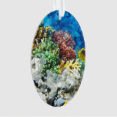 Korallenrotes Aquarium Ornament (Vorderseite)