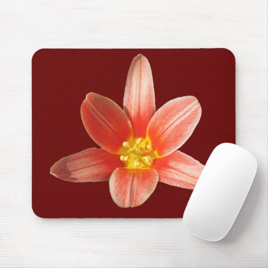 Korallenrotes Tulpe ~ mousepad (Mit Mouse)