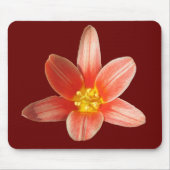 Korallenrotes Tulpe ~ mousepad (Vorne)