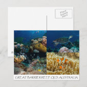 Korallensee Postkarte (Vorne/Hinten)