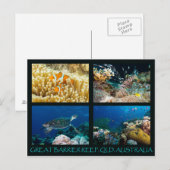 Korallensee Postkarte (Vorne/Hinten)