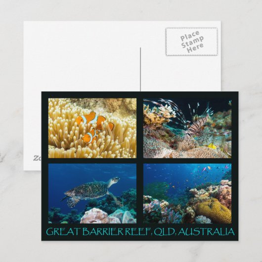 Korallensee Postkarte (Vorne/Hinten)