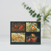 Korallensee Postkarte - Clownfisch (Stehend Vorderseite)