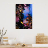 Korallensee - Tropischer Fisch und Riff - Poster (Küche)