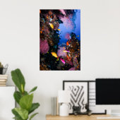 Korallensee - Tropischer Fisch und Riff - Poster (Heimbüro)