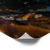 Korallensee - Tropischer Fisch und Riff - Poster (Ecke)