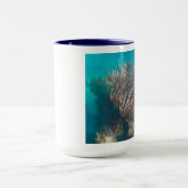 KORALLENTASSE TASSE (Zentrum)