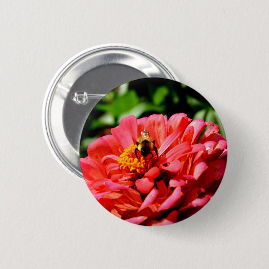 Korallenzinnie mit Hummeln Button (Vorne & Hinten)