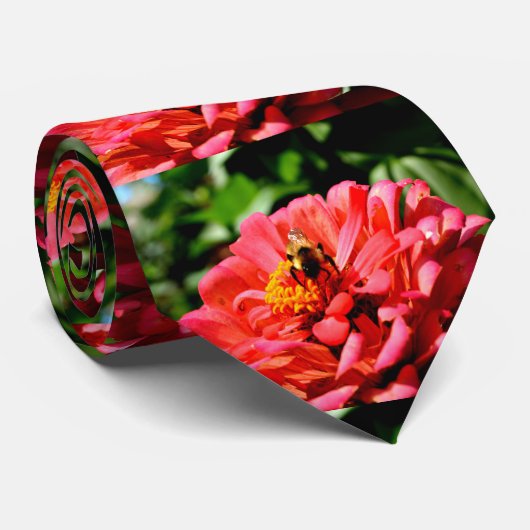 Korallenzinnie mit Hummeln Krawatte (Gerollt)