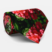 Korallenzinnie mit Hummeln-Krawatte Krawatte (Gerollt)