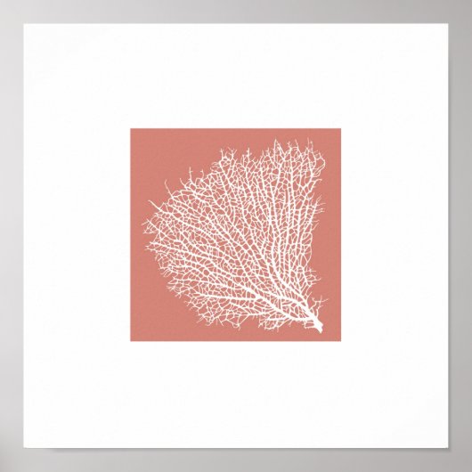 Korallenzweig Poster (Vorne)