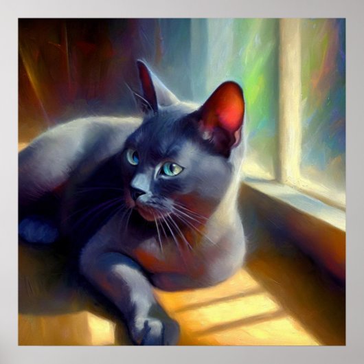 Korat Cat Poster (Vorne)