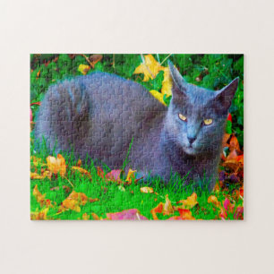 Korat Katzen. Puzzle