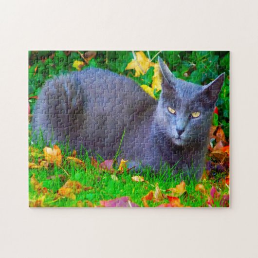 Korat Katzen. Puzzle (Horizontal)