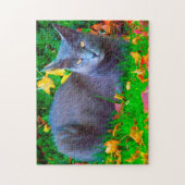 Korat Katzen. Puzzle (Vertikal)