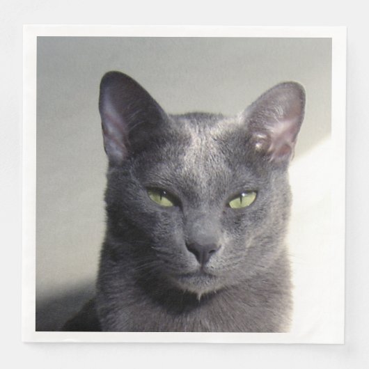 Korat Serviette (Vorderseite)