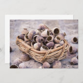 Korb des getrockneten Hülsen-Mohns Einladung (Vorne/Hinten)