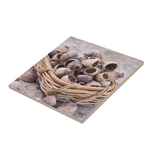Korb des getrockneten Hülsen-Mohns Fliese (Seite)
