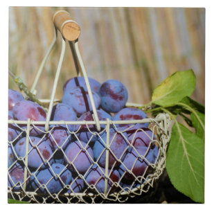 Korb Lila Pflaumen Fliese