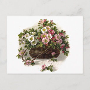 Korb mit alten Wildrosen Postkarte