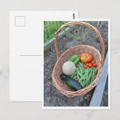 Korb mit frischer Gemüseernte Postkarte (Vorne/Hinten)
