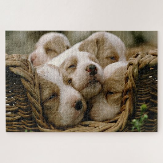 Korb voller schlafender Welpen Puzzle (Horizontal)