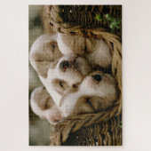 Korb voller schlafender Welpen Puzzle (Vertikal)