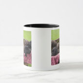 Korb von labrador retriever-Welpen Tasse (Zentrum)