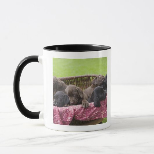 Korb von labrador retriever-Welpen Tasse (Links)