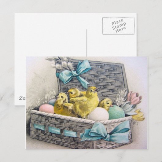 Körbchen mit Eiern und Blume Postkarte (Vorne/Hinten)