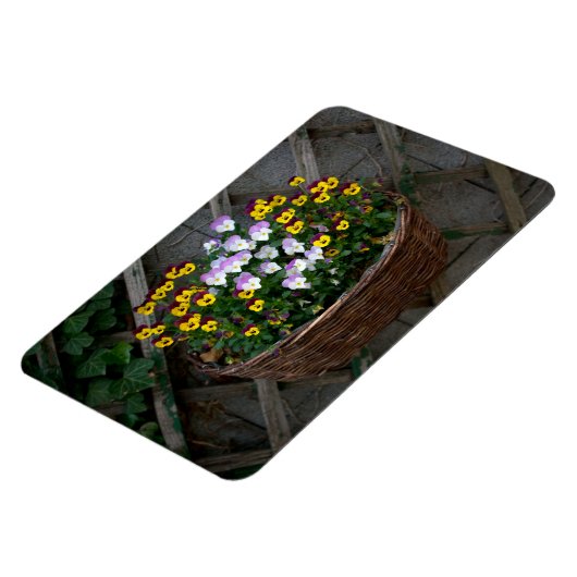 Körbchen mit Violas Magnet (Linke Seite)