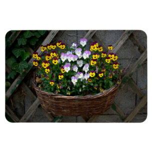 Körbchen mit Violas Magnet