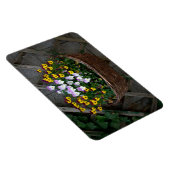 Körbchen mit Violas Magnet (Rechte Seite)