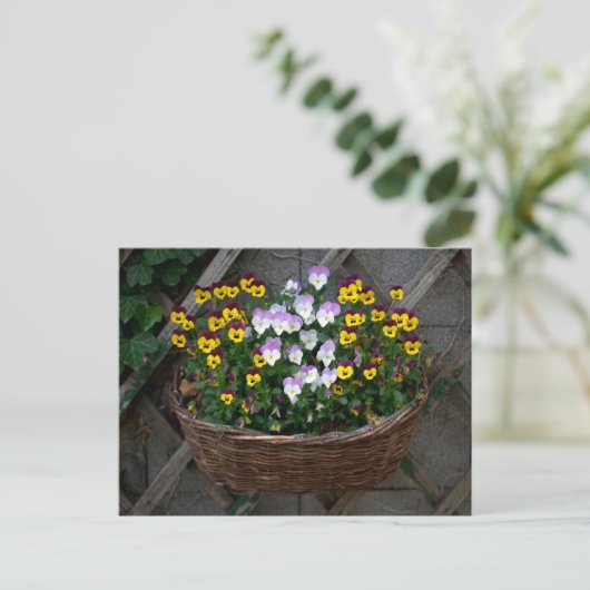Körbchen mit Violas Postkarte (Stehend Vorderseite)
